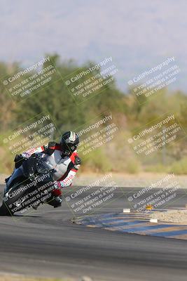 media/Nov-11-2023-SoCal Trackdays (Sat) [[efd63766ff]]/Turn 2 Set 2 (1145am)/